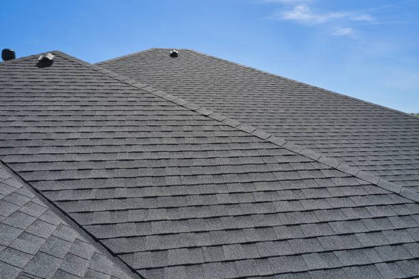 Best Roof Moss and Algae Removal  in Lenape Heights, PA